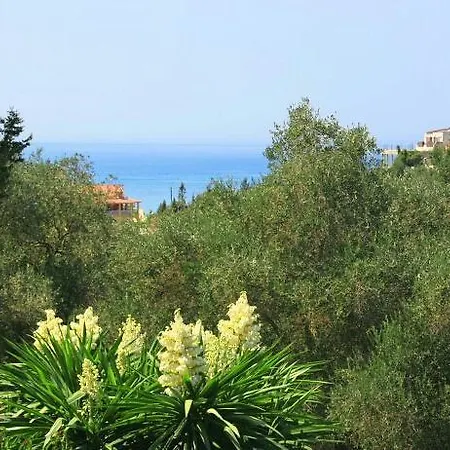 Apartment Danai Agios Georgios Pagon