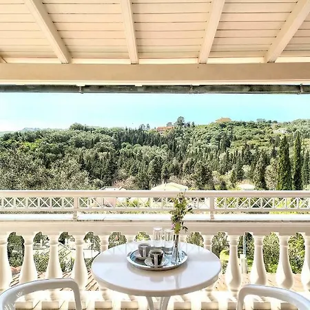 Danai Apartment Agios Georgios Pagon